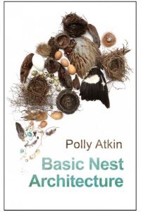 Book Cover for Basic Nest Architecture by Polly Atkin