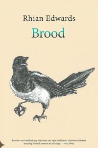 Book Cover for Brood by Rhian Edwards
