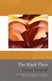 Book Cover for The Black Place by Tamar Yoseloff