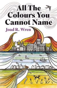 Book Cover for All the Colours You Cannot Name by Joad R Wren