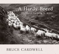 Book Cover for A Hardy Breed by Bruce Cardwell