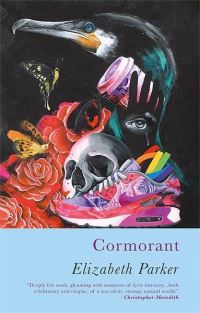 Book Cover for Cormorant by Elizabeth Parker