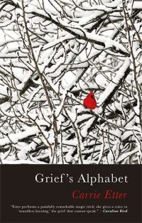 Book Cover for Grief's Alphabet by Carrie Etter