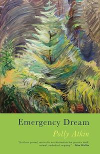 Book Cover for Emergency Dream by Polly Atkin
