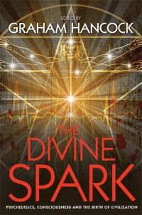 Book Cover for The Divine Spark by Graham Hancock