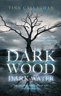 Book Cover for Dark Wood, Dark Water by Tina Callaghan