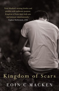 Book Cover for Kingdom of Scars by Eoin Macken