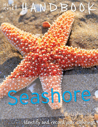 Book Cover for Seashore by Camilla De la Bédoyère