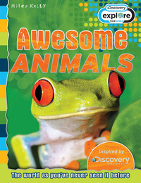 Book Cover for Awesome Animals by 