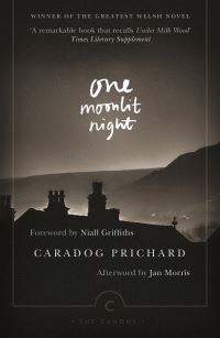 Book Cover for One Moonlit Night by Caradog Prichard