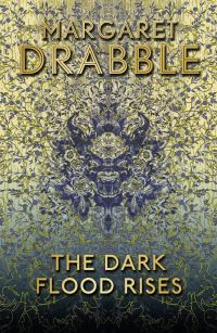 Book Cover for The Dark Flood Rises by Margaret Drabble