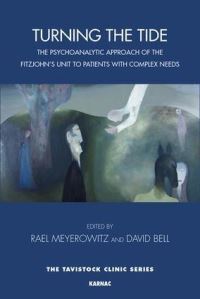 Book Cover for Turning the Tide by Rael Meyerowitz, David Bell