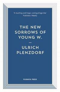 Book Cover for The New Sorrows of Young W by Ulrich Plenzdorf