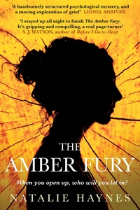 Book Cover for The Amber Fury by Natalie Haynes