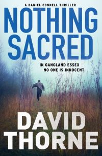 Book Cover for Nothing Sacred by David Thorne