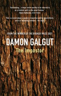 Book Cover for The Impostor by Damon Galgut