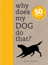 Book Cover for Why Does My Dog Do That? by Sophie Collins