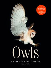 Book Cover for Owls by Marianne Taylor