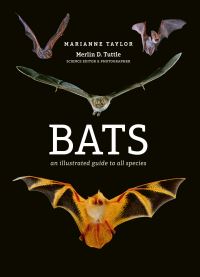 Book Cover for Bats by Marianne Taylor