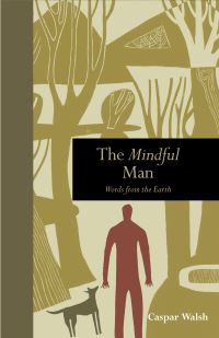 Book Cover for The Mindful Man by Caspar Walsh