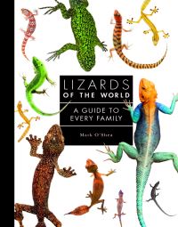 Book Cover for Lizards of the World by Mark OShea