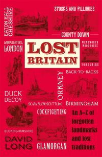 Book Cover for Lost Britain by David Long
