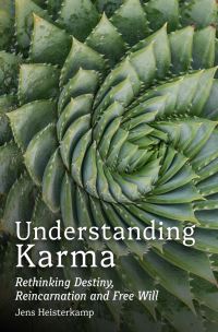Book Cover for Understanding Karma by Jens Heisterkamp