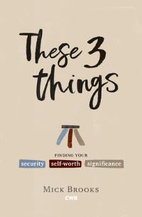 Book Cover for These 3 Things by Mick Brooks