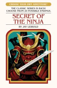 Book Cover for Secret of the Ninja by Jay Leibold