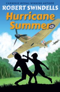 Book Cover for Hurricane Summer by Robert E Swindells