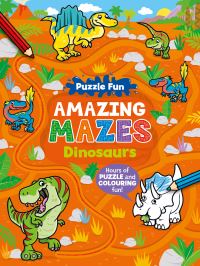 Book Cover for Puzzle Fun Amazing Mazes by Angela Hewitt