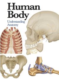 Book Cover for Human Body by Jane De Burgh