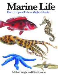 Book Cover for Marine Life by Michael Wright, Giles Sparrow
