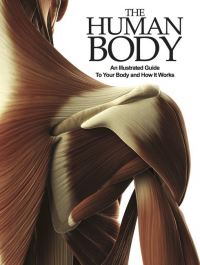 Book Cover for The Human Body by Peter H Abrahams