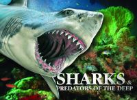Book Cover for Sharks & Predators of the Deep by Sue Barraclough