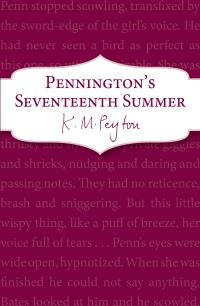 Book Cover for Pennington's Seventeenth Summer by K M Peyton