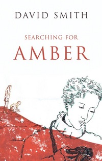 Book Cover for Searching for Amber by David Smith