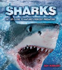 Book Cover for Sharks by Ben Hubbard