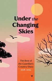 Book Cover for Under the Changing Skies by Paul Fleckney