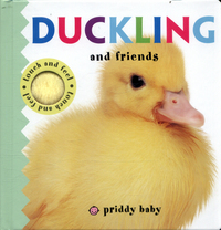 Book Cover for Duckling and Friends by Ellie Boultwood, Hannah Cockayne, Amy Oliver