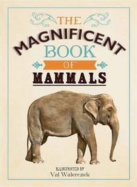 Book Cover for The Magnificent Book of Animals by Tom Jackson