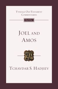 Book Cover for Joel and Amos by Tchavdar S Hadjiev