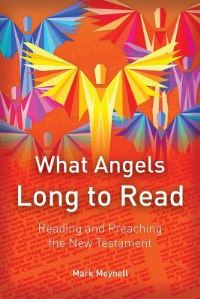 Book Cover for What Angels Long to Read by Mark Meynell