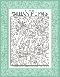 Book Cover for Pictura Prints by Louise Angelicas