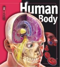 Book Cover for Human Body by Linda Calabresi
