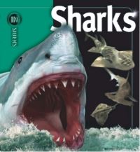 Book Cover for Sharks by Beverly McMillan, John A Musick