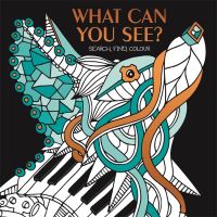 Book Cover for What Can You See? by Johanna Reynaud