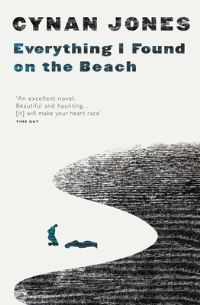 Book Cover for Everything I Found on the Beach by Cynan Jones