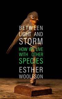 Book Cover for Between Light and Storm by Esther Woolfson