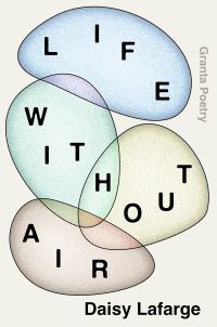 Book Cover for Life Without Air by Daisy Lafarge